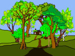 Forest_2day