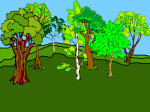 forest_1