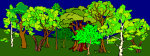 forest_1600