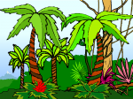 Jungle