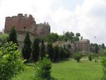 img_1685