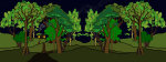 forest_night_1600